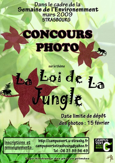 affiche_concours_photo_strasbourg.jpg